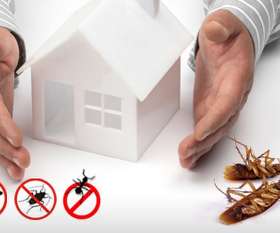 Pest Control Mosman