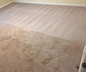 Carpet Cleaning Kambah