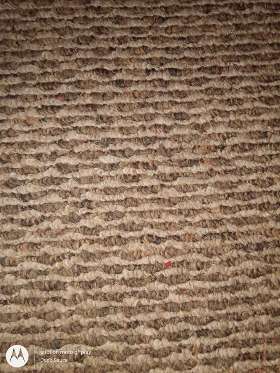 Carpet Cleaning Kambah
