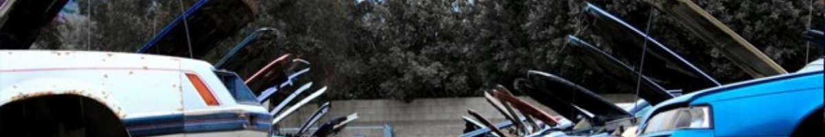 Sunshine Car Removals Banner