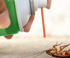 Pest Control Morphett Vale