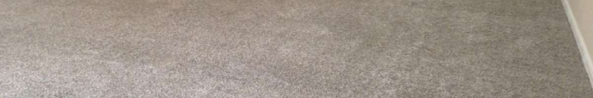 Carpet Cleaning Henley Beach Banner