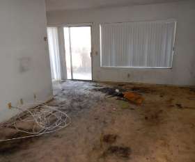 Carpet Cleaning Henley Beach