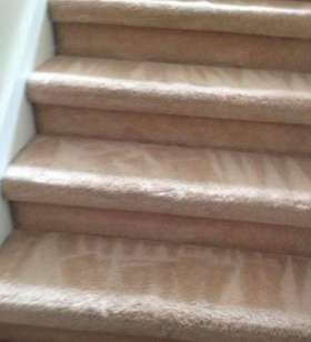 Carpet Cleaning Yarralumla