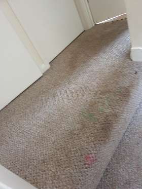 Carpet Cleaning Yarralumla