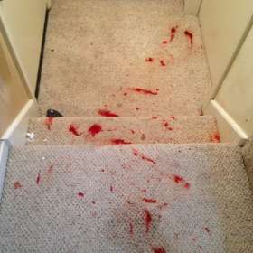 Carpet Cleaning Magill