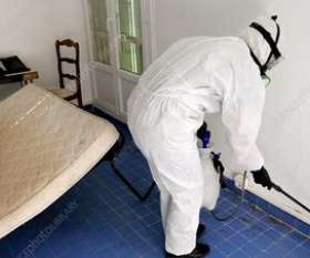 Pest Control Florey