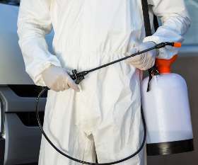 Pest Control Kallaroo