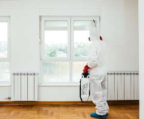 Pest Control Kallaroo