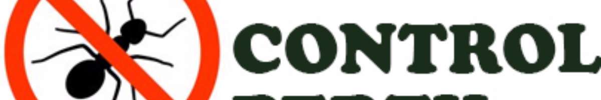 Ant Pest Control Perth Banner