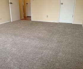 Carpet Cleaning Semaphore