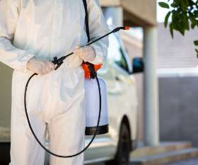 Pest Control Palm Beach