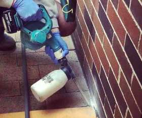 Pest Control Vaucluse