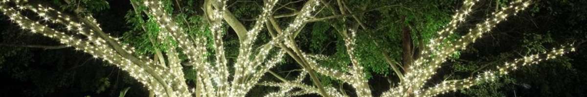 Fairy Lights Banner