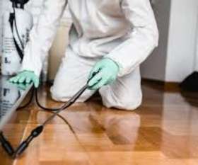 Pest Control Tarragindi