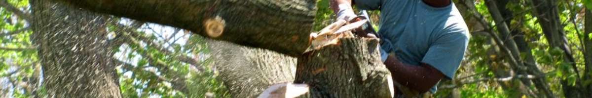 SA Tree Recyclers Banner