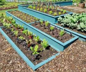 T. G. T. — The Green Thumb 