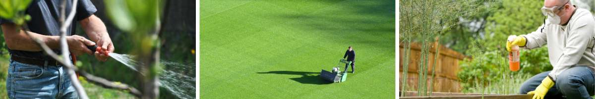 T. G. T. — The Green Thumb Banner