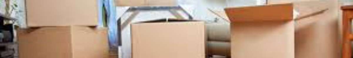 Moving champs Banner