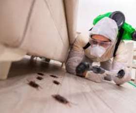 Pest Control Nicholls