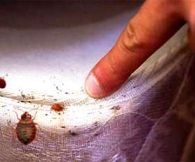 Pest Control Piara Waters