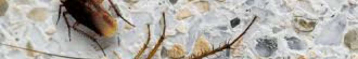 Pest Control Turner Banner