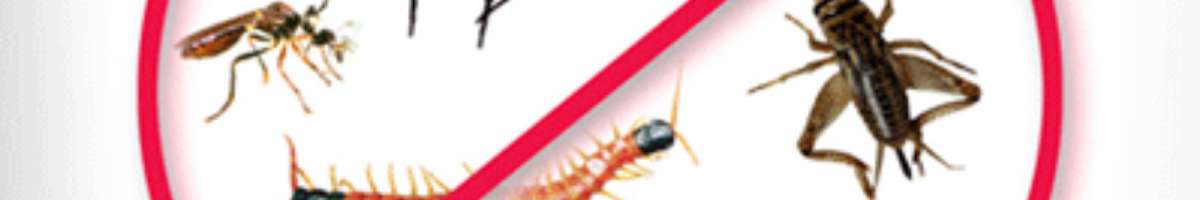 Pest Control Mornington Banner