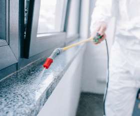 Pest Control Paradise Point