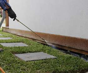 Pest Control North Lakes