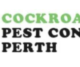 Cockroach Control Perth
