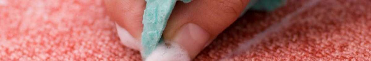 Carpet Cleaning Redbank Plains Banner