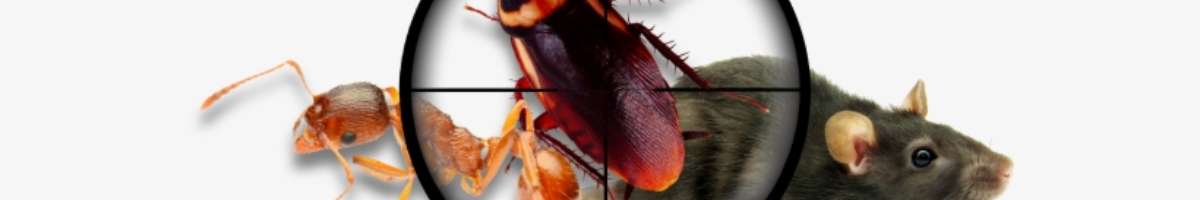 Pest Control Wollongong Banner