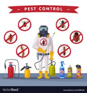 Pest Control Wollongong