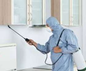 Pest Control The Vines
