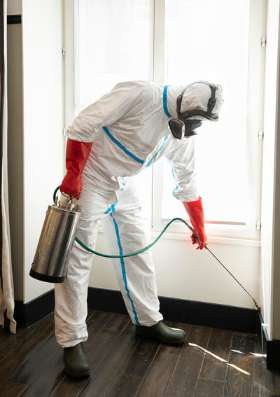 Pest Control Potts Point