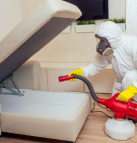 Pest Control Lesmurdie