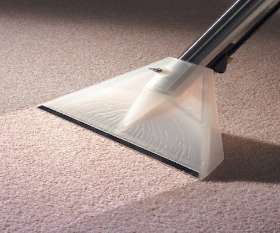 Pest Control Homebush