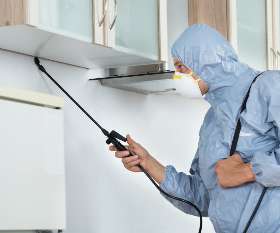 Pest Control Maroochydore
