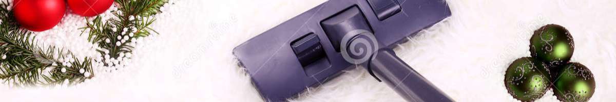 Carpet Cleaning Langwarrin Banner