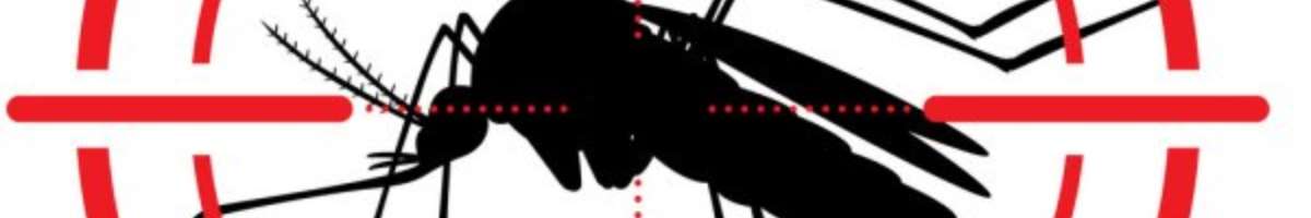 Pest Control Langwarrin Banner