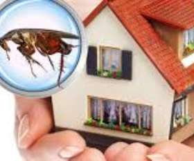 Pest Control Brunswick