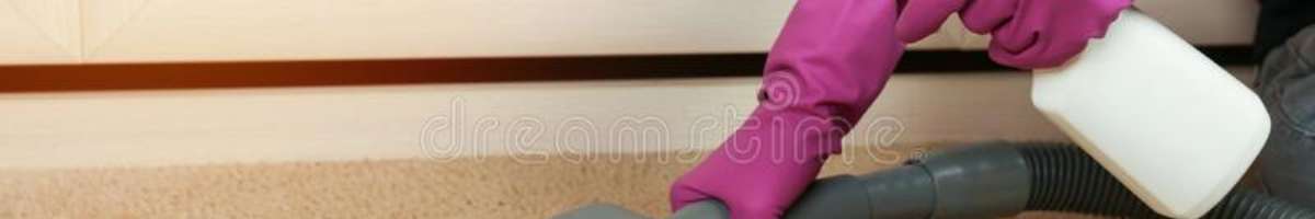 Carpet Cleaning Surfers Paradise Banner