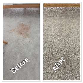 Carpet Cleaning Surfers Paradise