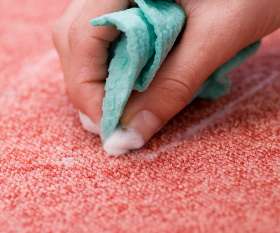 Carpet Cleaning Surfers Paradise