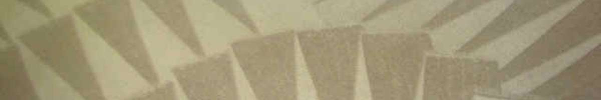 Carpet Cleaning Red Hill Banner