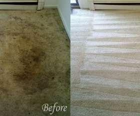 Carpet Cleaning Red Hill