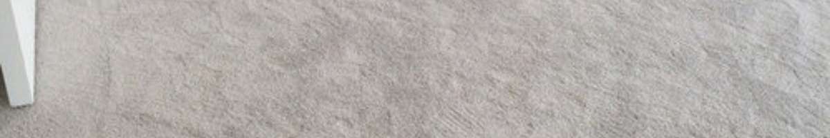 Carpet Cleaning Wanniassa Banner