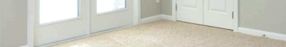Carpet Cleaning Cloverdale Banner