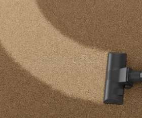 Carpet Cleaning Bellevue Hill