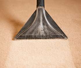 Carpet Cleaning Bellevue Hill